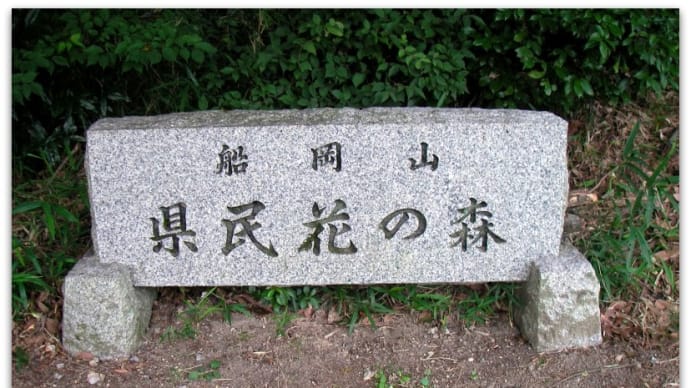 【磐座・巨石・神社】有名な相聞歌の舞台となった“船岡山”と、太郎坊宮よりほど近いもうひとつの“阿賀神社”@ 滋賀県東近江市糠塚町