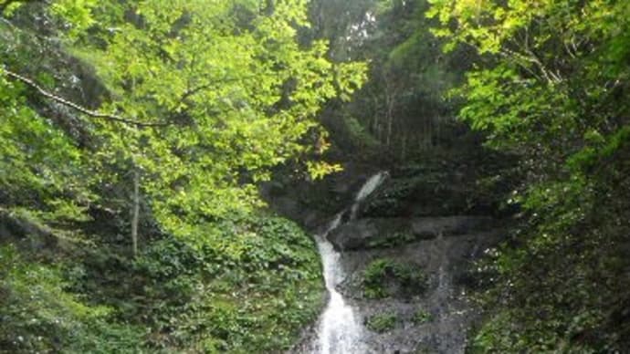 2022年10月1日(土) 難所・清水ノ滝から、人ずれしていない裏槇尾4座を歩く!!