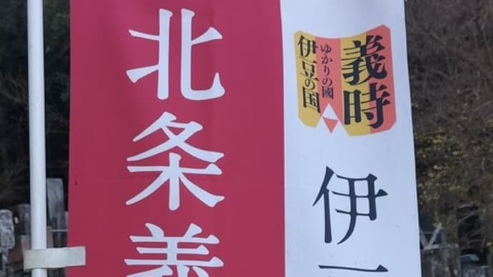 蠟梅を見に北条義時夫妻のお寺に行きました
