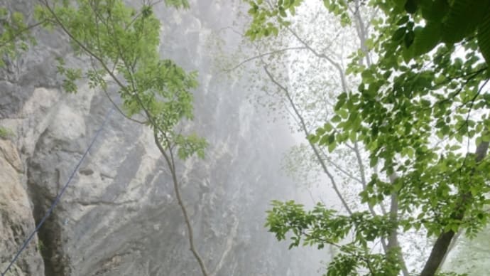 2021.5.15-16 二子山クライミング 雨 唐獅子で進展