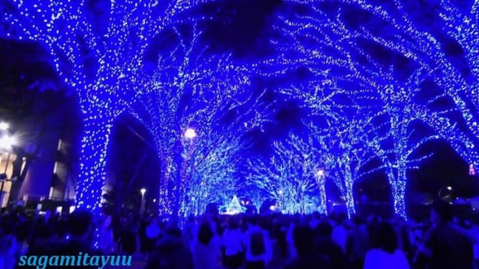 「青の洞窟 SHIBUYA」幻想的な青の世界に陶酔!!
