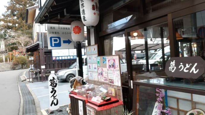 本日のランチは吉野山上の金峯山寺前のお食事処はるかぜで。吉野名物の葛うどんを。くず菓子付きで８５０円。はっさく食べ放題で２個いただきました。