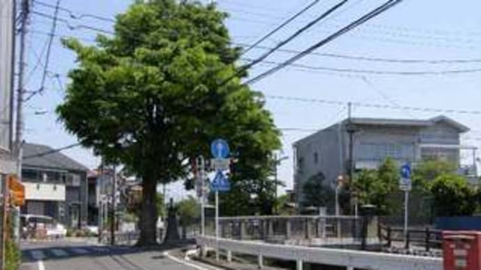 道灌橋