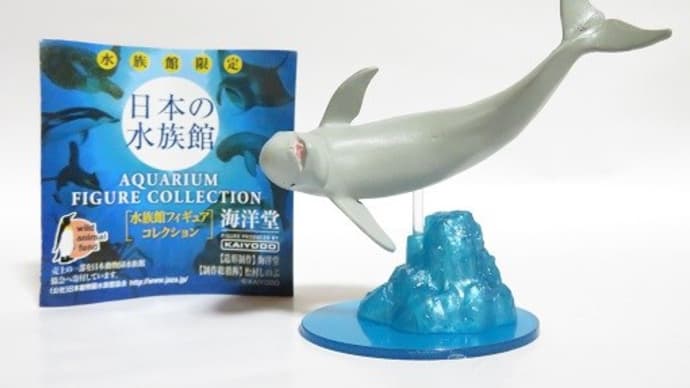 日本の水族館 スナメリ(再録)