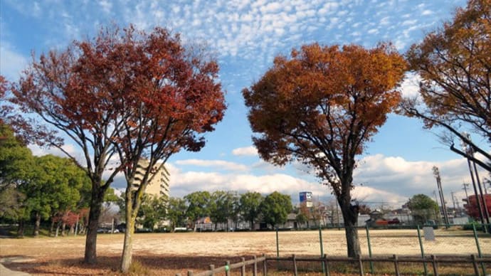 思い付きって、どこから来るの？