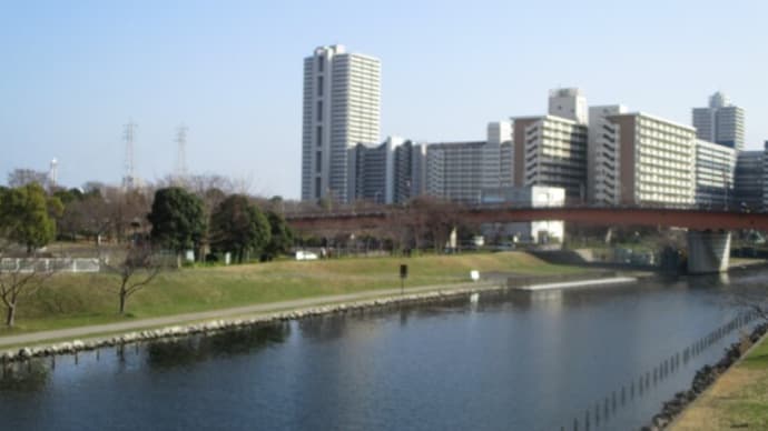 花散歩 桜ただいま 準備中