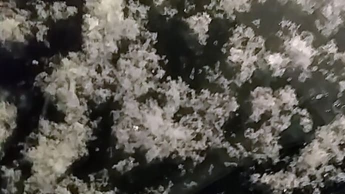 天気の良い日は会議、、、
