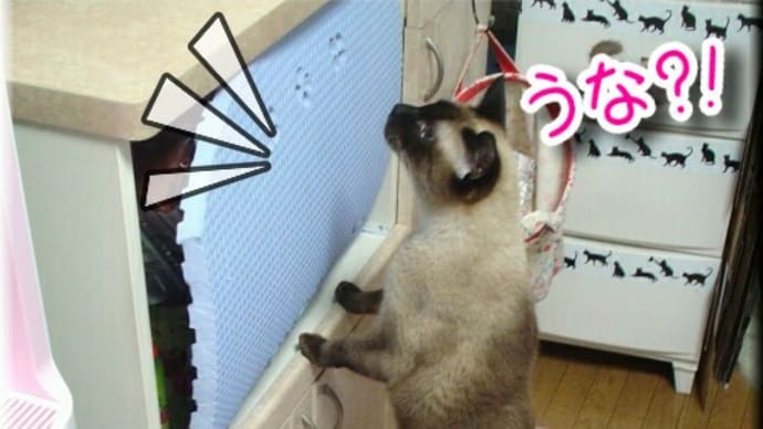 パン工房OPEN~その1