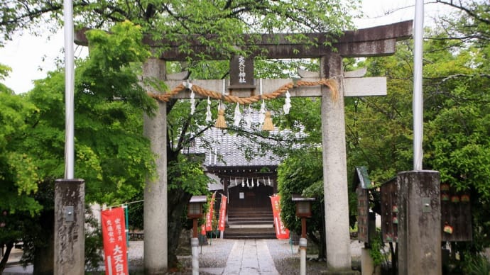 大天白神社・雨中の藤「2022」