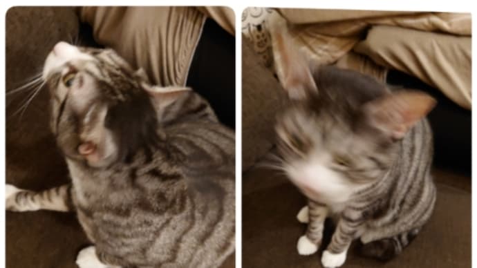 明日からGWだぁ😆