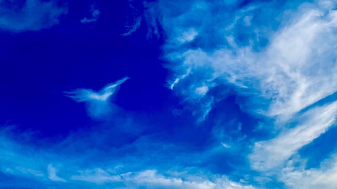 イマソラ 7月20日