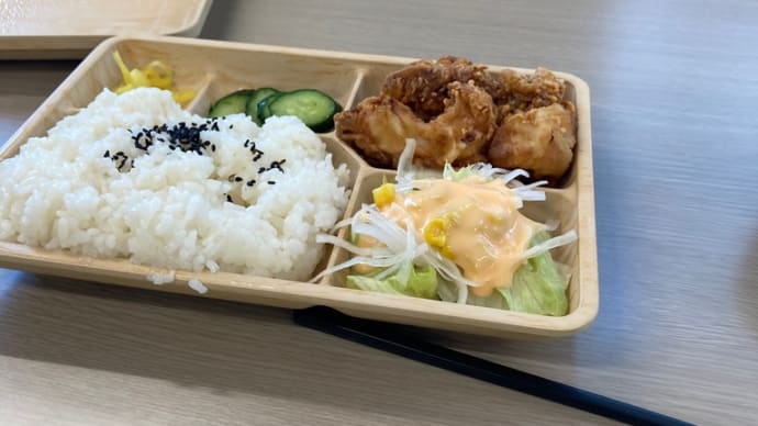 今日のお昼ご飯は、唐揚げ弁当でした。