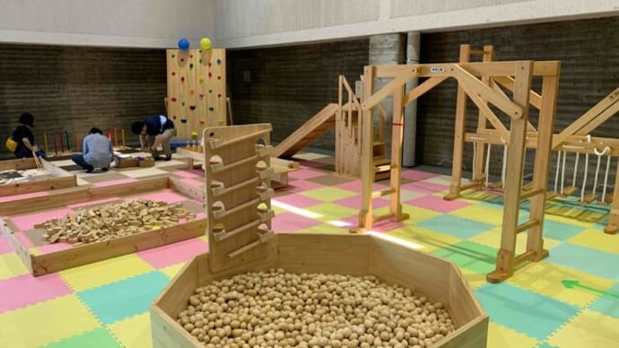 令和6年度 木育ワークショップ参加園募集のお知らせ♪