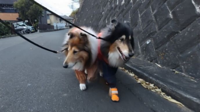 完全装備👌
