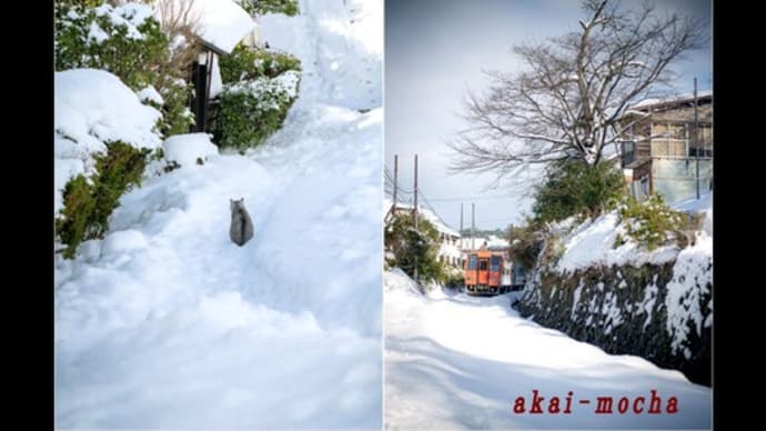 木次の雪