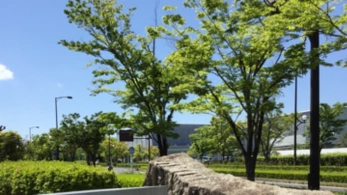 【#がっちりマンデー出演】営業担当者様ご来県❣️お弁当村で入れ違いに…そして…