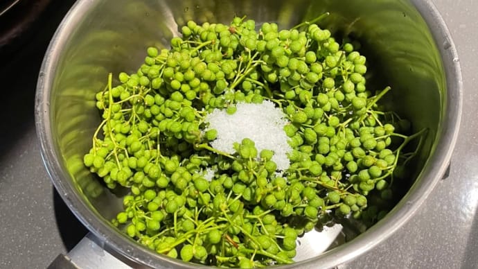 さんしよの実茹でをる炎うつくしや