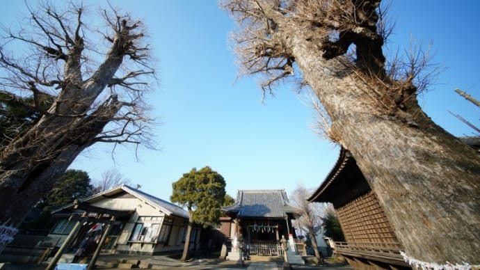 赤塚諏訪神社へ初詣(2022.1.10撮影)
