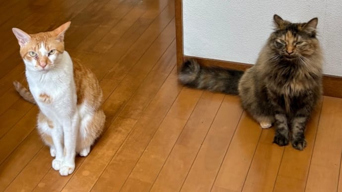 7月5日 いってらっしゃい&おかえりなさい