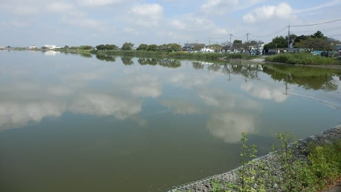 夏の雲映して静か沼の水(伊佐沼)