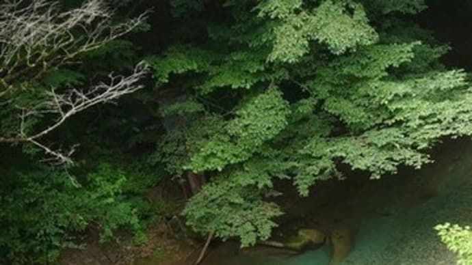 福島旅行~3日目