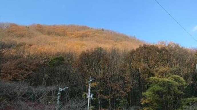 不動の滝