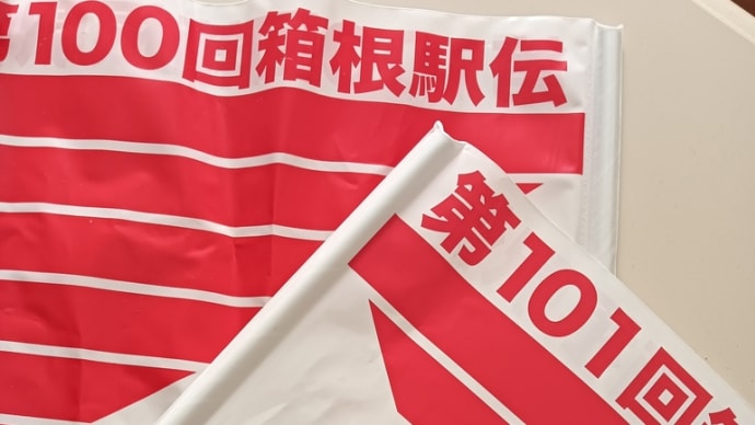 箱根駅伝は見れたけど~