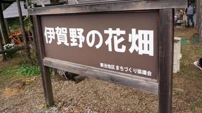 伊賀野の花畑