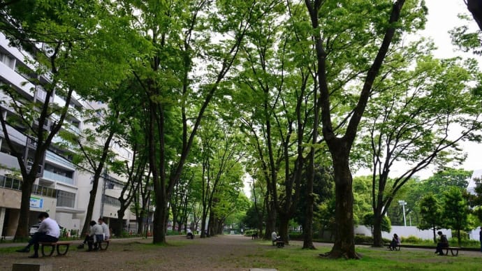 名古屋 白川公園