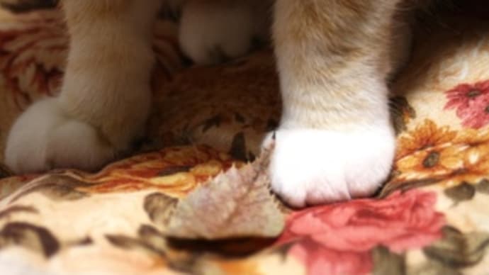 ちいさい秋 平和の秋
