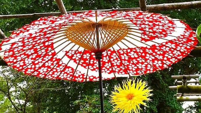 「ダリア綾なす秋の園」① /東照宮ぼたん苑