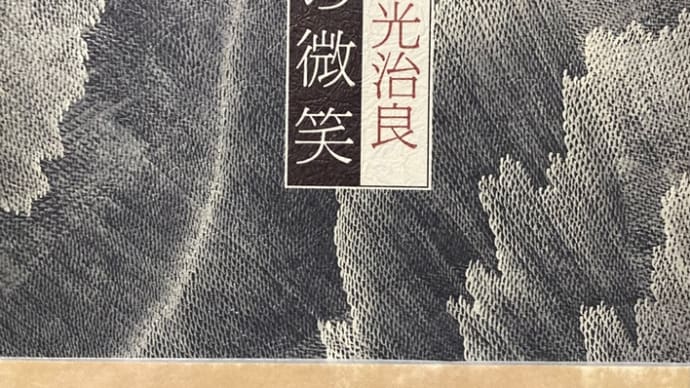芹沢光治良の死について