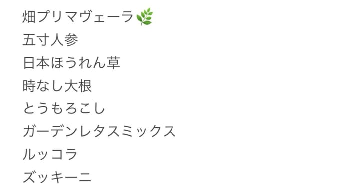 無農薬畑に植えるもの