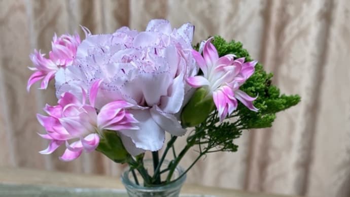 5月24日のお花たち♪