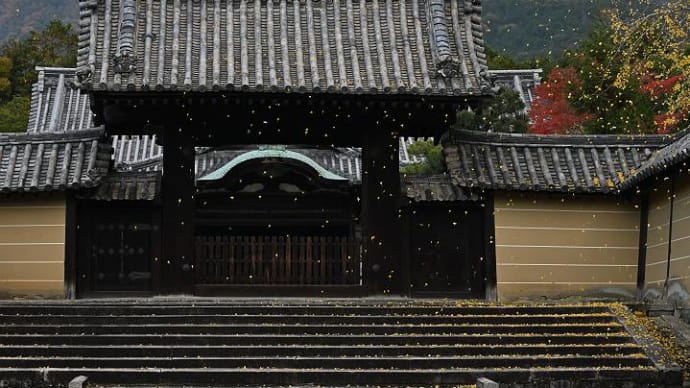 随心院、見学