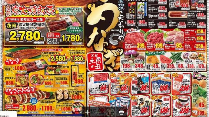 土用丑の日 うな牛重