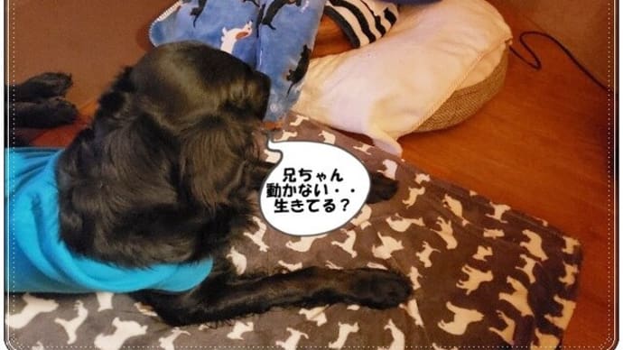監視