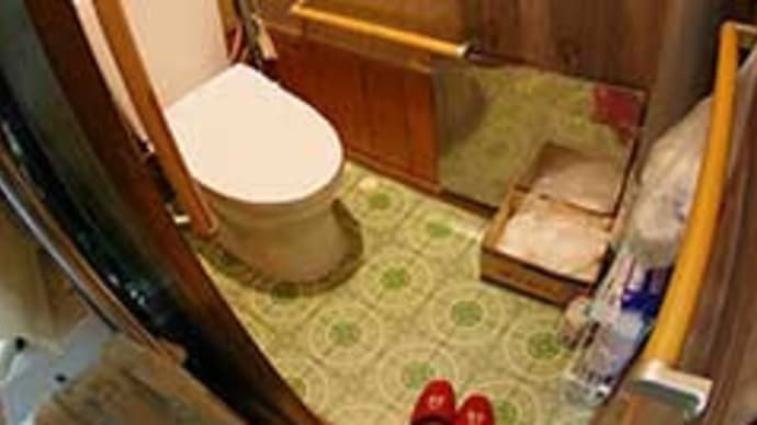 トイレにまたまた手すりを増設。