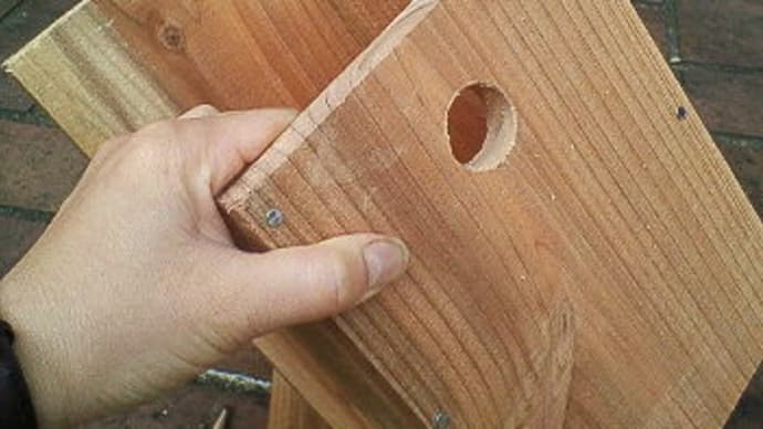 巣箱を森にかけて野鳥に使われる確率