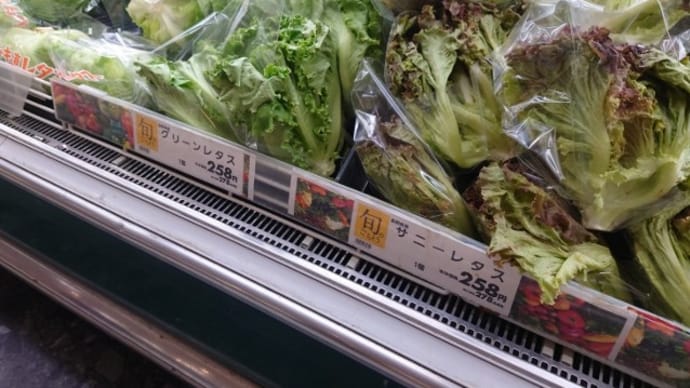 レタス、高いですね・・・