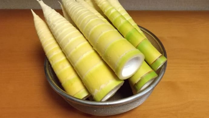 阿蘇のお酒「れいざん」を真竹で頂きました