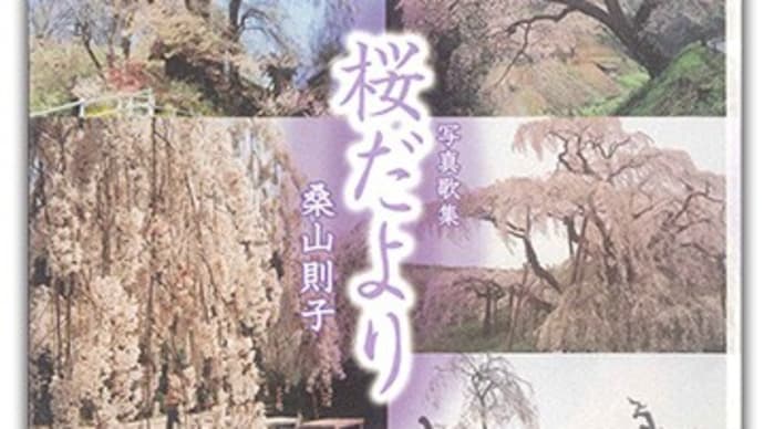 『桜だより』 桑山則子