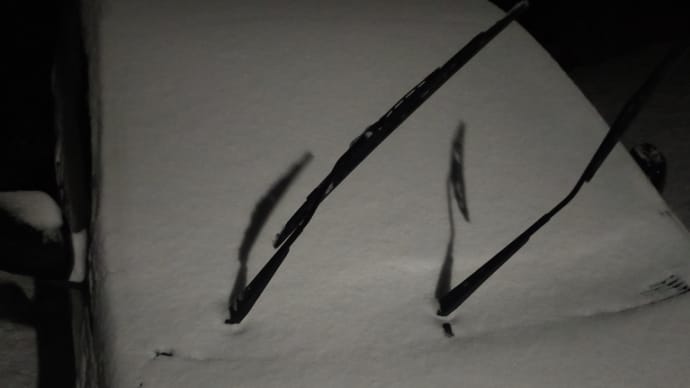 雪に弱い長崎県