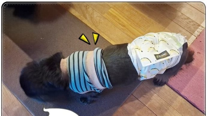 ステキな着こなし
