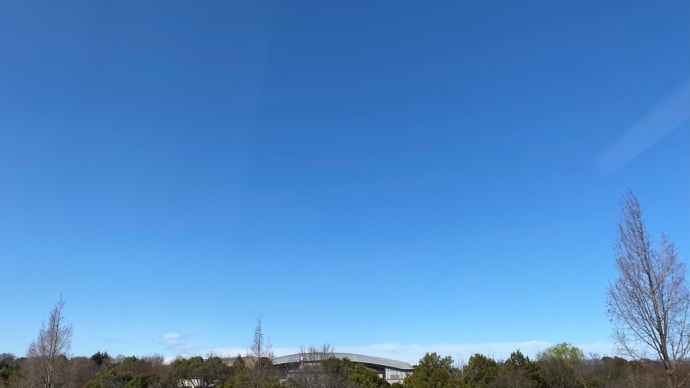 コロナ日記3 = 抜ける様な青空に思いを馳せる。