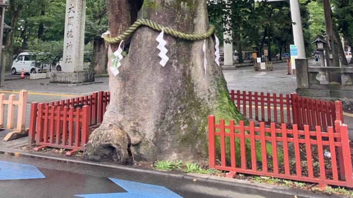 【府中】大國魂神社へお参りに