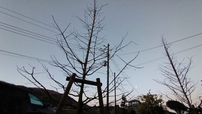 車勢揃いの空