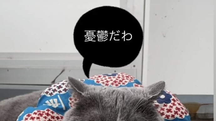 大人のパチンコ