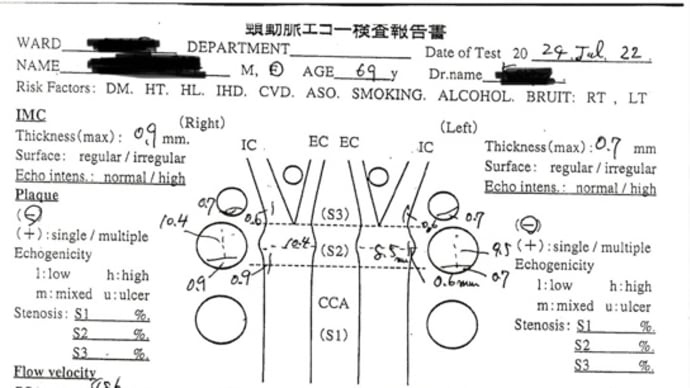 採血受難とエコー検査