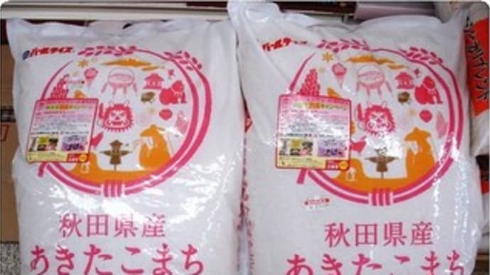 △▼コストコアウトレット▼△秋田県産米あきたこまち入荷しました!